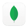 MongoDB Compass